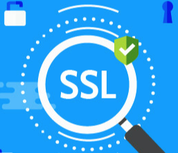 常见的ssl 证书类型